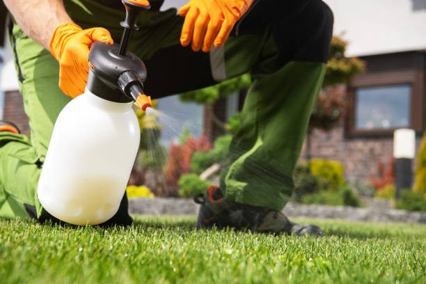 Best Pest Control Near Me in Hebron, MD