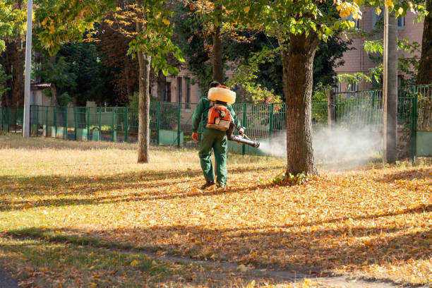 Pest Control Cost in Hebron, MD